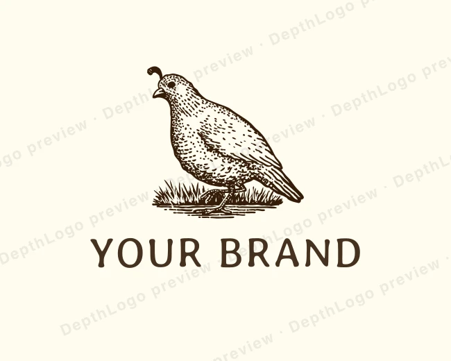 Hand Drawn Quail Bird logo template for Your Brand